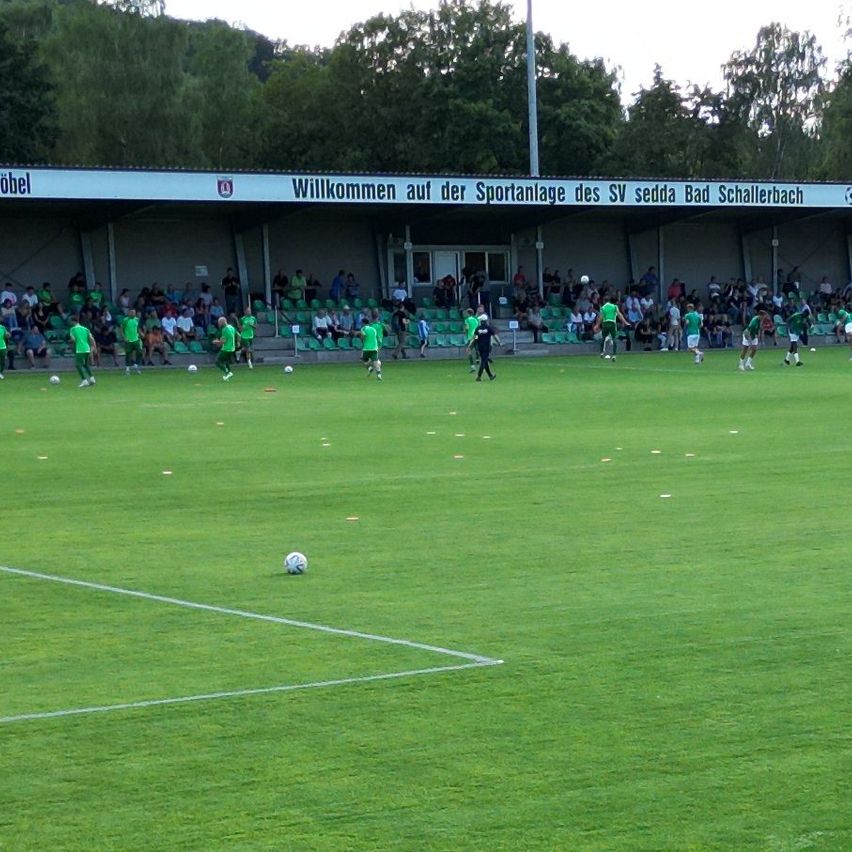 Bild enthält, Field, Football, Soccer Ball, Person, People, Shoe, Grass, Bird