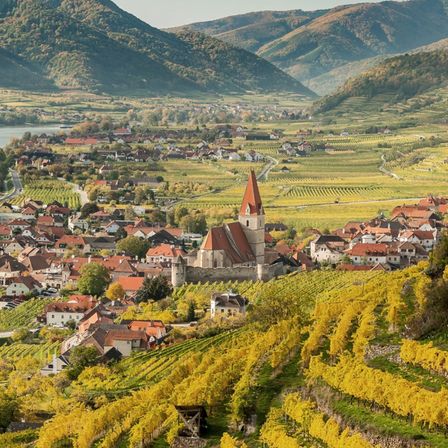Eine Stadt umgeben von Weinbergen und Bergen, mit einem Schlossturm in der Mitte, unter einem klaren Himmel.