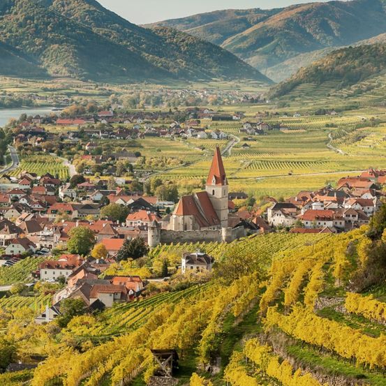 Eine Stadt umgeben von Weinbergen und Bergen, mit einem Schlossturm in der Mitte, unter einem klaren Himmel.
