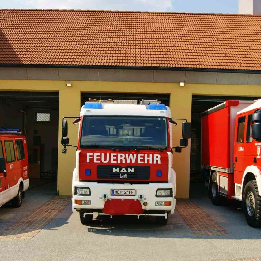 v1_migrated_image_83580986