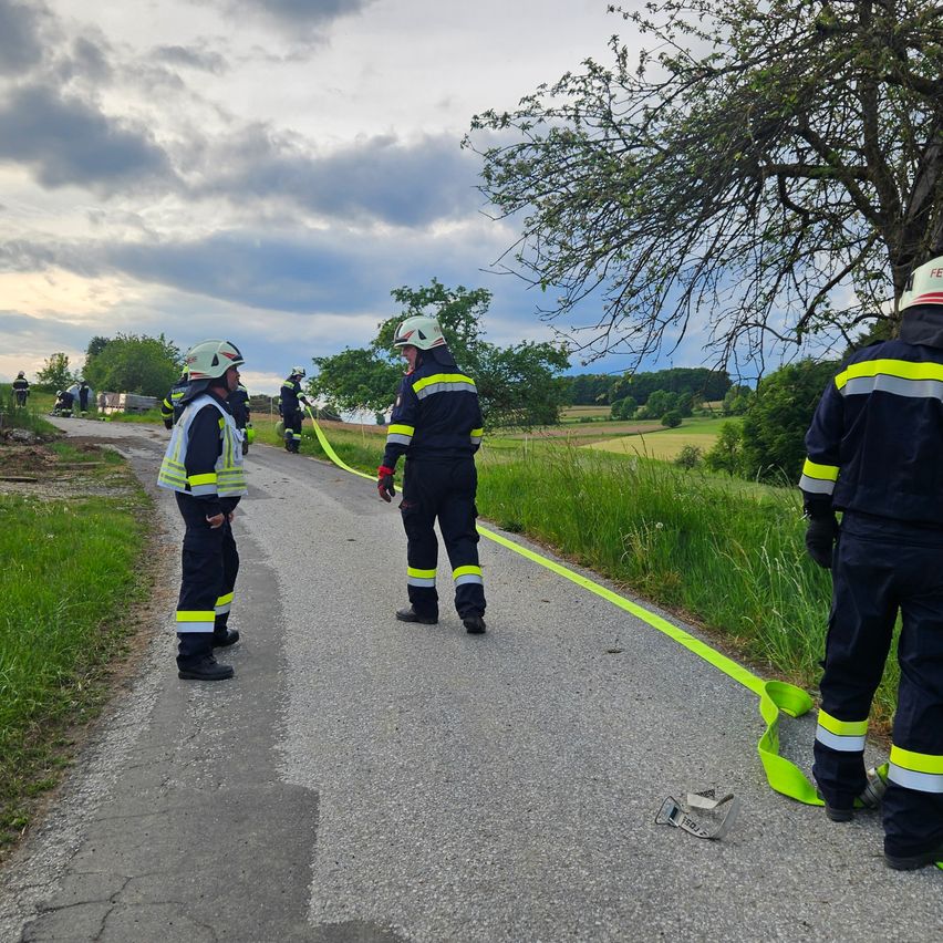 A group of firefighters in protective gear stands on a road, a green line on the ground, and a tree on the right.