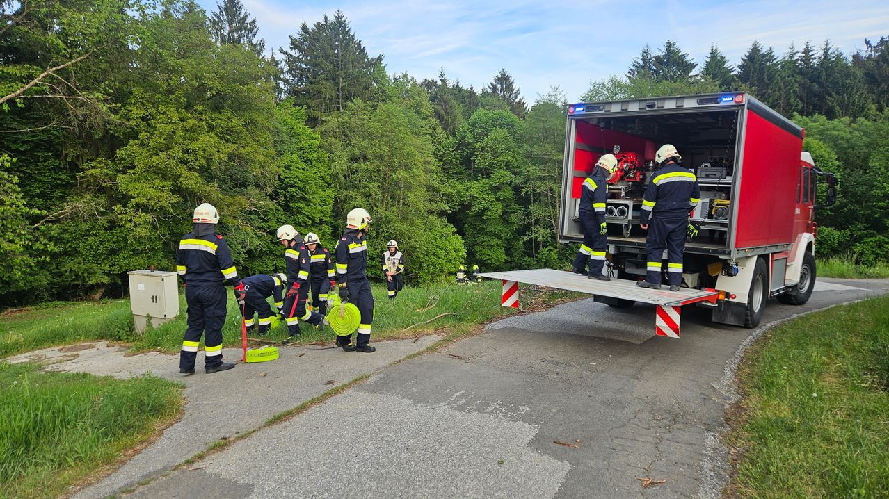 Firefighters in uniform are on a roadside. Some are bending down to inspect something on the ground. A truck is parked on the side of the road.