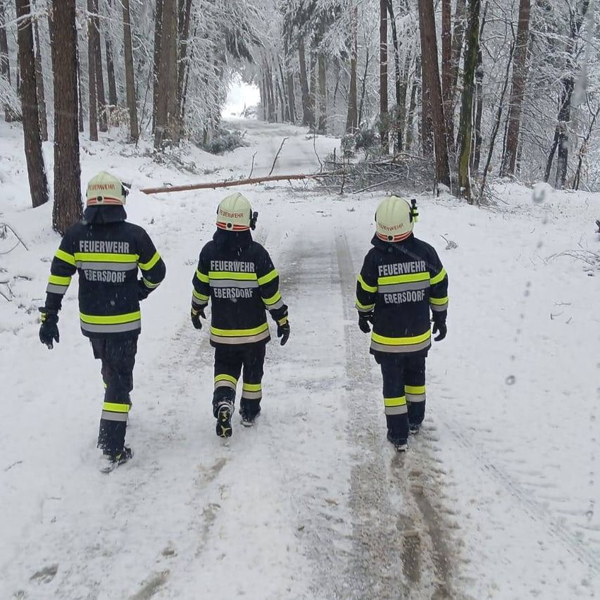 Drei Feuerwehrleute gehen im schneebedeckten Wald, tragen Helme und Uniformen. Der Boden ist schneebedeckt.