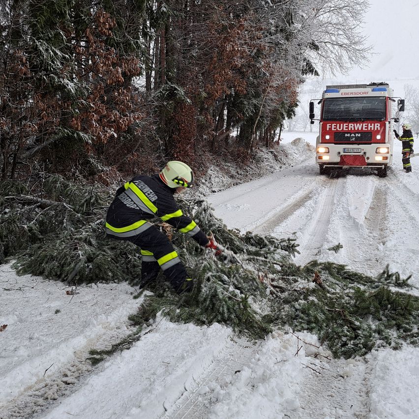 Ein Feuerwehrmann räumt einen umgestürzten Baum von einer verschneiten Straße. Ein Feuerwehrwagen ist in der Nähe geparkt.
