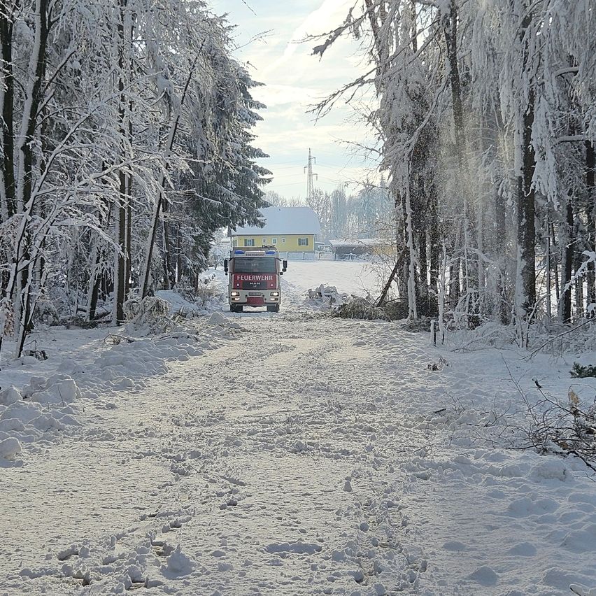Ein Feuerwehrauto fährt durch eine verschneite Straße, umgeben von schneebedeckten Bäumen. Ein gelbes Haus ist in der Ferne zu sehen.
