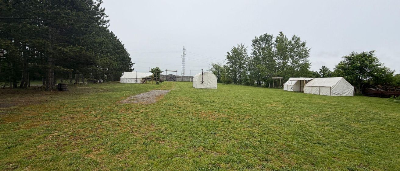 Ein offenes Grasfeld mit vier weißen Zelten, umgeben von Bäumen und einem Lehmweg, unter einem bewölkten Himmel.