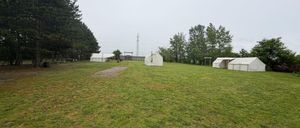 Ein offenes Grasfeld mit vier weißen Zelten, umgeben von Bäumen und einem Lehmweg, unter einem bewölkten Himmel.