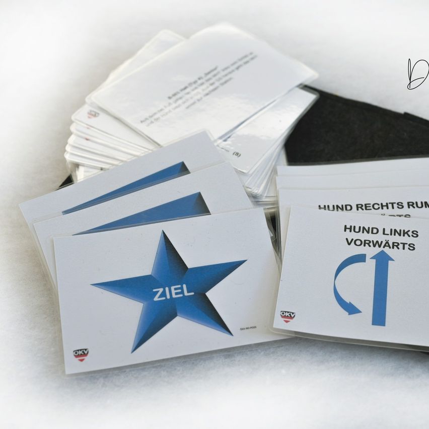 Bild enthält, Text, Paper