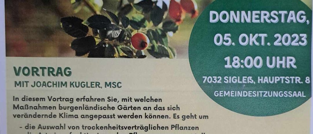 v1_migrated_image_92284011