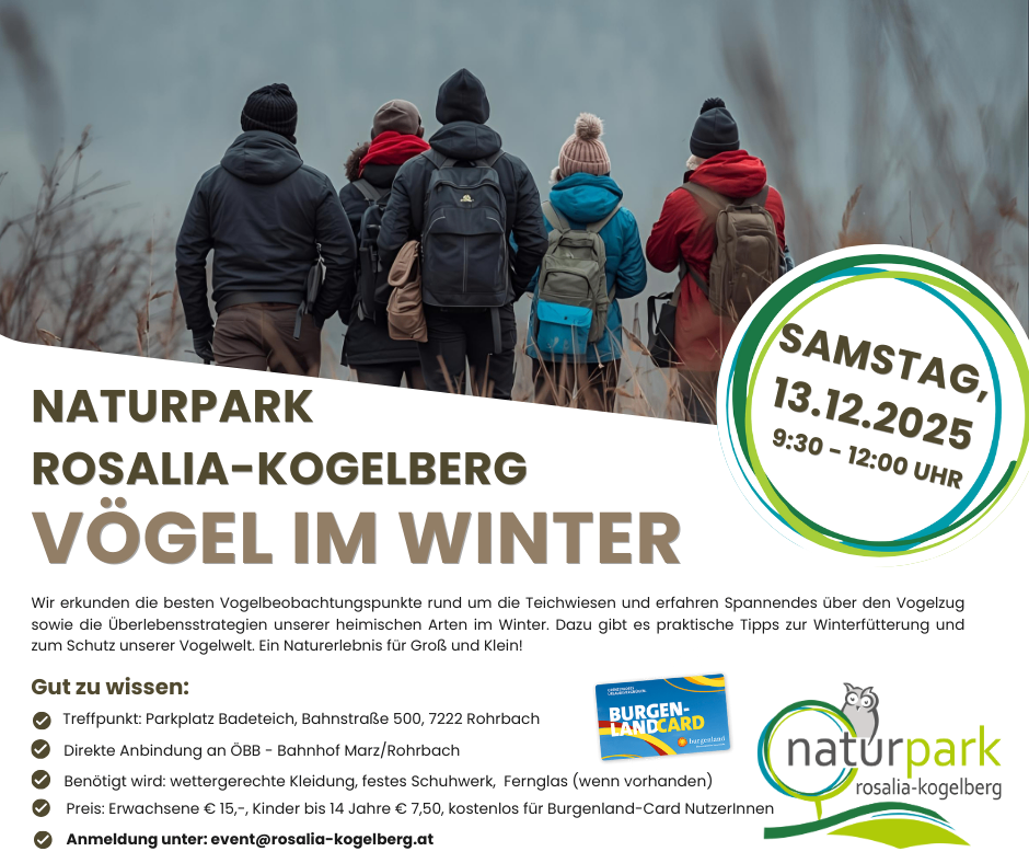 Ein Plakat für eine Wintervogelbeobachtungsveranstaltung auf dem Rosália-Kogelberg. Die Veranstaltung bietet praktische Tipps zur Winterfütterung. Treffpunkt ist am Badeteich Parkplatz. Der Eintritt ist für Burgenland-Card-Benutzer kostenlos.