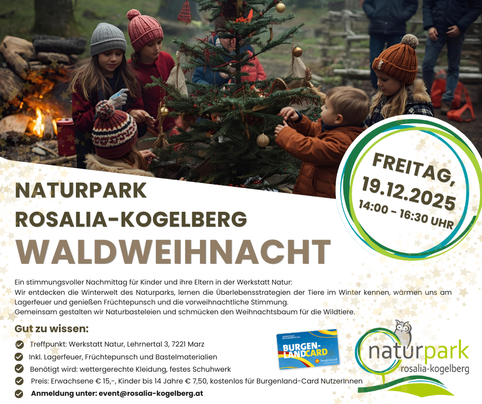 Ein Plakat für ein Winter-Natur-Workshop auf dem Rosalia-Kogelberg. Es zeigt Kinder, die einen Weihnachtsbaum schmücken, und die Details des Veranstaltungsdatums, der Uhrzeit und des Ortes.
