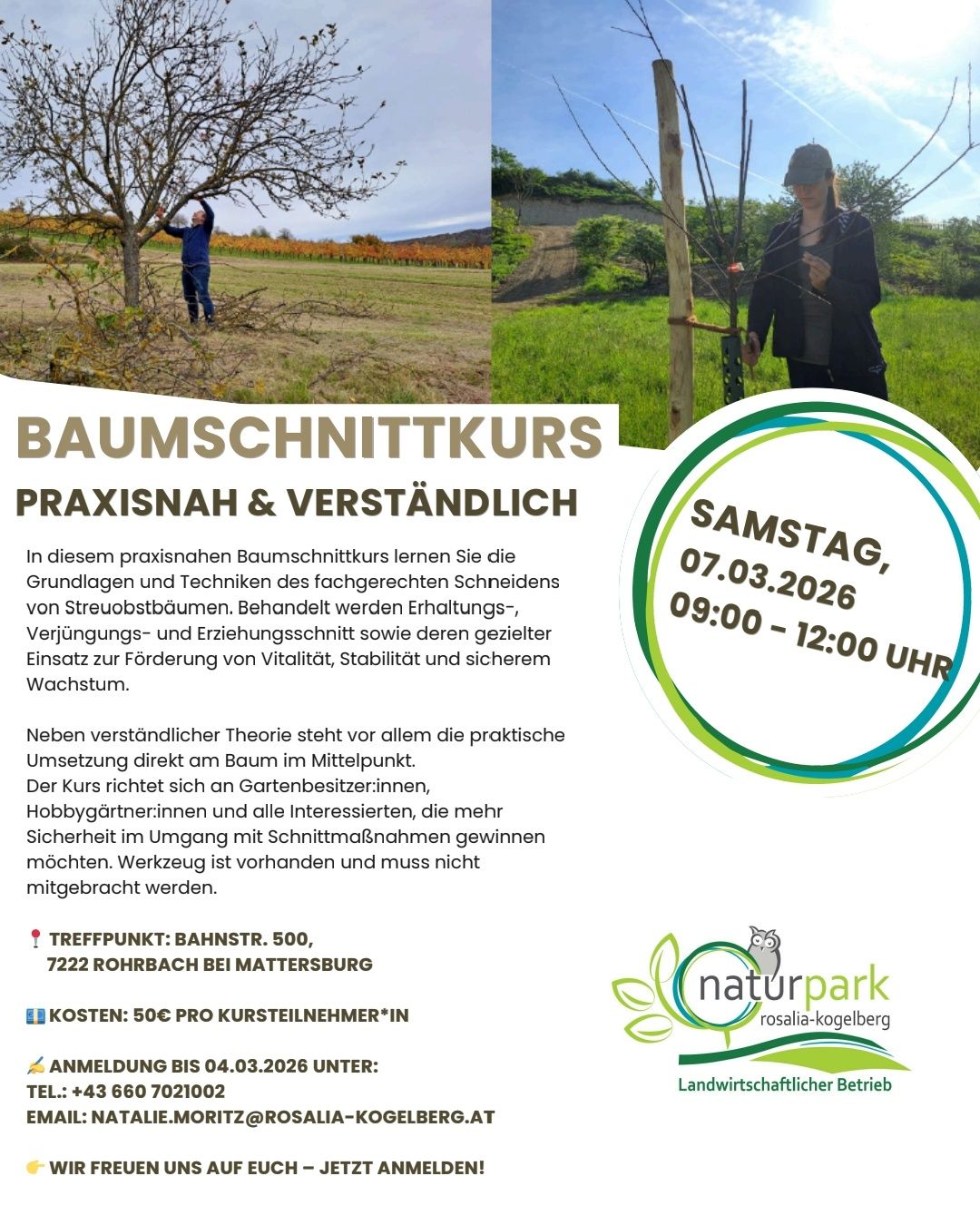 Der Baumschnittkurs bietet praktische und verständliche Techniken zur Baumpflege. Der Kurs behandelt die Grundlagen des Beschneidens, Baumpflege, Verjüngung und Erziehungsschnitt sowie deren gezielten Einsatz zur Förderung von Vitalität, Stabilität und sicherem Wachstum.