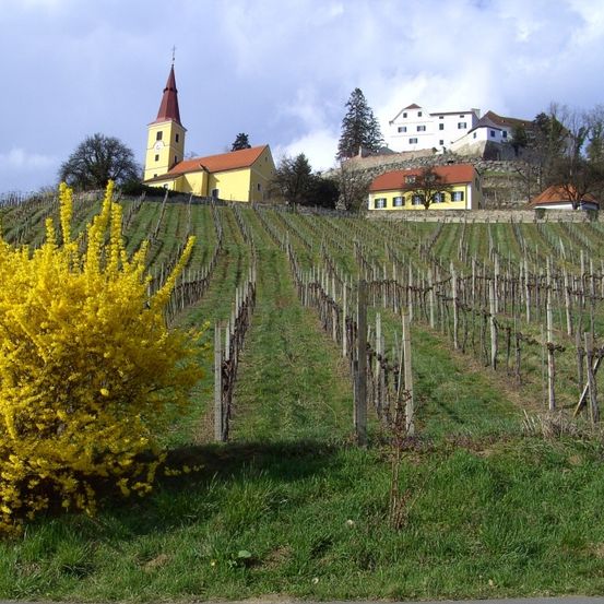 Bild enthält, Plant, Vegetation, Nature, Outdoors, Countryside, Rural, Architecture, Building, Farm, Vineyard