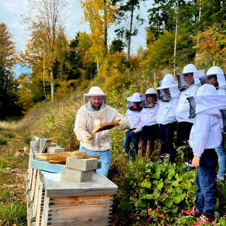 Ein Imker mit Bart, umgeben von Schülern in Imkeranzügen, inspiziert einen Holzbienenstock in einem Wald.