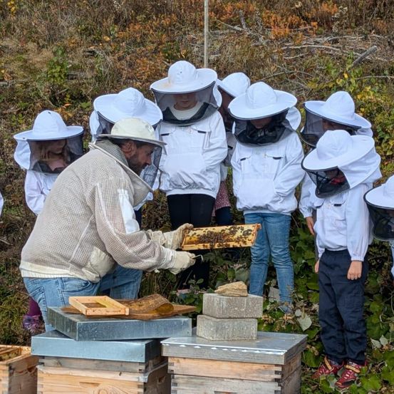 Ein Imker zeigt einer Gruppe von Kindern in weißen Schutzanzügen und Mützen, wie man mit einem Bienenstock arbeitet. Sie befinden sich in einem Grasbereich mit Bienenstöcken im Hintergrund.