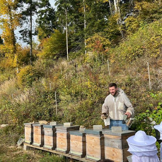Ein Mann pflegt eine Reihe von Bienenstöcken an einem Hang, umgeben von grünem Laub und Bäumen. Er trägt einen Schutzanzug für Imker.