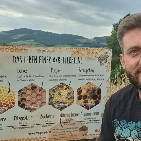 Ein Schild mit 'Das Leben Einer Arbeiterbiene' zeigt den Lebenszyklus einer Arbeiterbiene. Das Schild enthält Diagramme verschiedener Stadien von der Larve bis zur Arbeiterbiene mit Beschreibungen. Ein Mann steht neben dem Schild und lächelt.