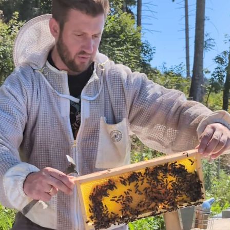 Ein Imker in einem Schutzanzug untersucht einen mit Bienen gefüllten Bienenstock, mit einem bewaldeten Bereich im Hintergrund.