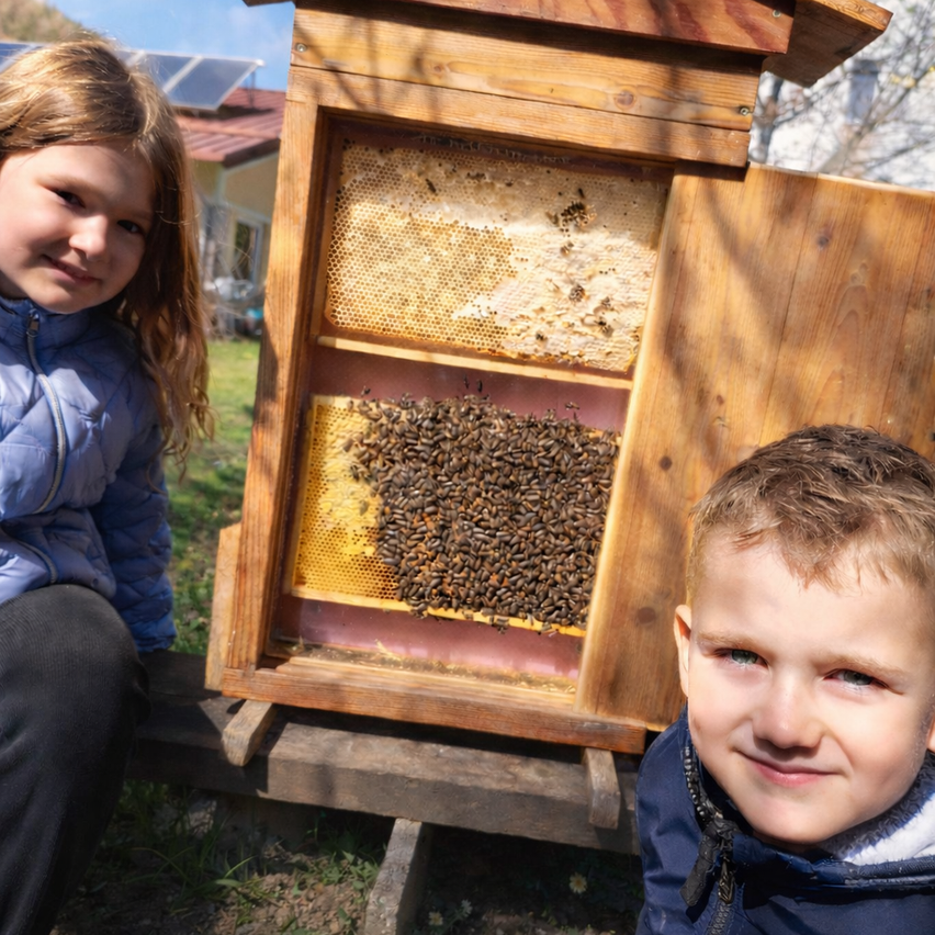 A girl and a boy are standing next to a wooden beehive, with many bees on the honeycomb inside. The girl is wearing a blue jacket, while the boy is wearing a blue jacket with a white collar. Behind them, there is a house with solar panels on the roof.