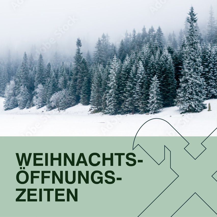 Bild enthält, Plant, Tree, Fir, Pine, Vegetation, Outdoors, Nature, Woodland, Snow, Conifer