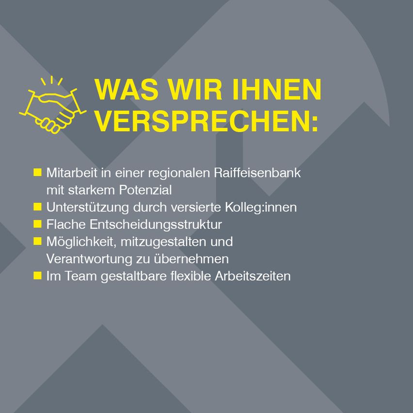 Das Bild zeigt ein Händeschütteln mit dem Text 'WAS WIR IHNEN VERSPRECHEN'. Darunter stehen Punkte für die Arbeit in einer regionalen Raiffeisenbank, Unterstützung durch Kollegen, eine flache Organisationsstruktur und flexible Arbeitszeiten.