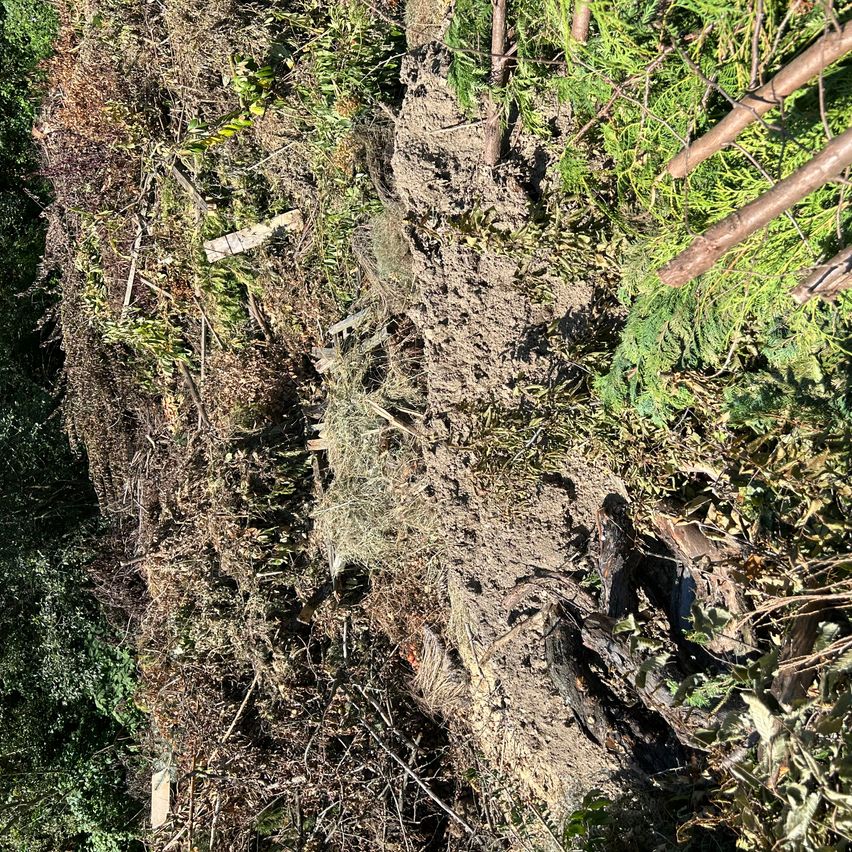 Eine Luftaufnahme eines schlammigen Hangs mit verstreuter Vegetation, Zweigen und Schutt. Rechts sind grüne Pflanzen und Äste zu sehen.