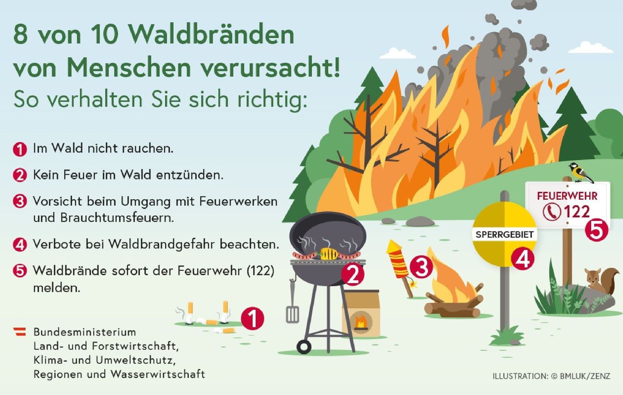 Ein Infografik über Ursachen von Waldbränden und Präventivmaßnahmen. Es listet Rauchen, Lagerfeuer, Feuerwerk und unsachgemäßer Umgang mit Feuer als Ursachen auf. Es rät auch, auf Waldbrandwarnungen zu achten und sofort den Notruf zu wählen.