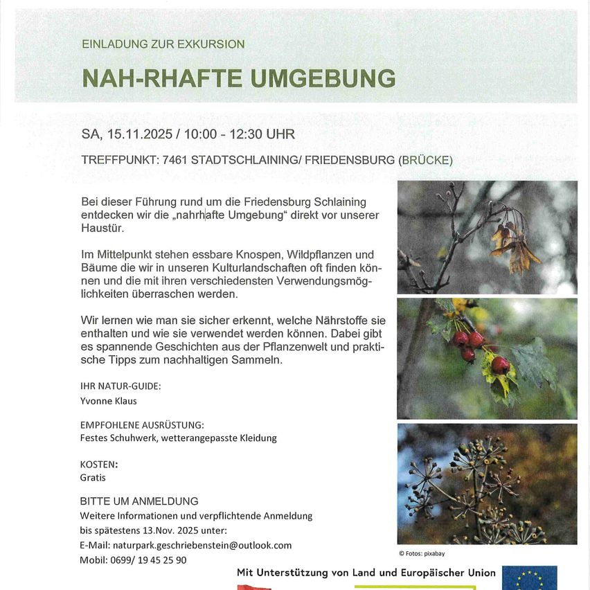 Die Einladung zur Exkursion erkundet die unmittelbare Umgebung der Friedensburg. Lernen Sie essbare Pflanzen und Bäume, ihre historische Verwendung und nachhaltige Sammelmethoden kennen. Die Führerin, Yvonne Klaus, bietet Einblicke und praktische Tipps. Empfohlene Kleidung umfasst festes Schuhwerk und wetterfeste Kleidung. Die Kosten sind frei. Eine Anmeldung ist bis zum 13. November 2025 erforderlich.