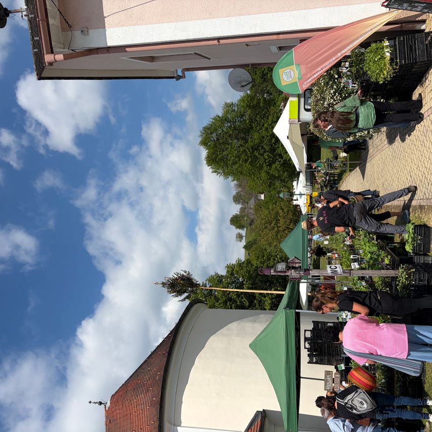 Menschen schauen sich Pflanzen auf einem Freimarkt unter blauem Himmel mit verstreuten Wolken an, mit Ständen, Zelten und Bäumen im Blick.