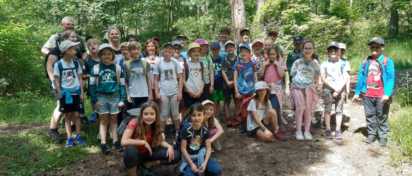 Bild enthält, Grass, Park, Vegetation, Grove, Land, Tree, Woodland, People, Shorts, Jungle