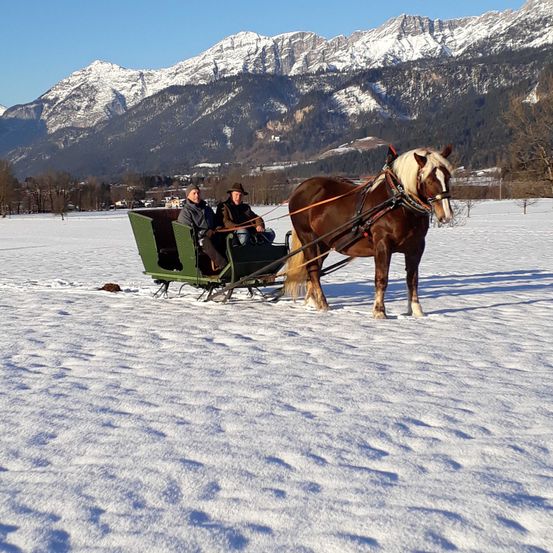 FotosHandyjnner21.01.2020320