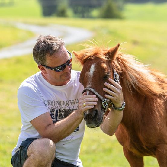 Ein Mann mit Sonnenbrille und weißem T-Shirt kniet in einem Grasfeld und hält liebevoll das Gesicht eines braunen Pferdes. Das Pferd hat einen weißen Fleck auf seiner Stirn.