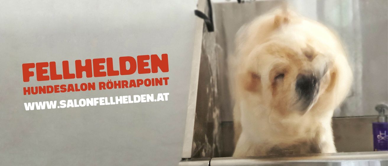 Nahaufnahme eines Hundes in einer Waschmaschine, mit dem Wort 'Ehren' auf der linken und 'Ehren' auf der rechten Seite, mit einem Website-Link in rotem Text.