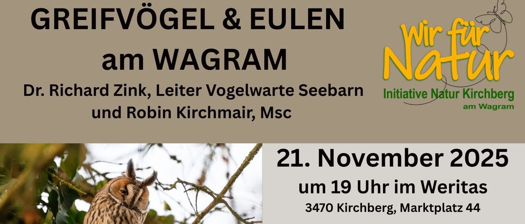 Plakat mit einer Eule in einem Baum und Veranstaltungsdetails. Die Veranstaltung dreht sich um Eulen und Falken in Wagram. Datum: 21. November, Zeit: 19 Uhr. Ort: 3470 Kirchberg, Marktplatz. Freier Eintritt, keine Anmeldung erforderlich. Veranstaltet von der 'Wir für Natur' Initiative. Webseite: www.wirfuernatur.at.