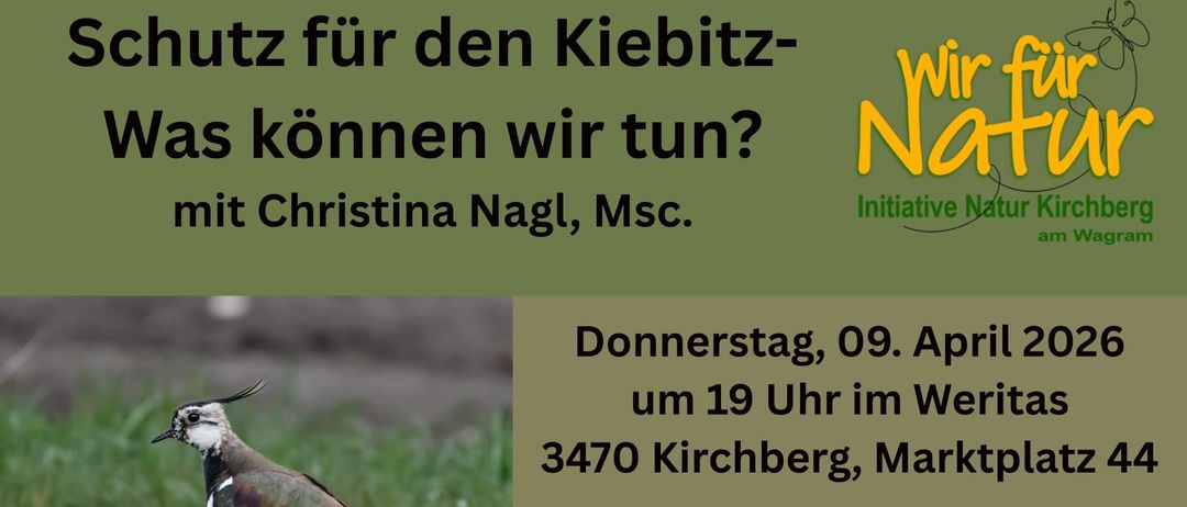 Ein Bild zeigt einen Vogel auf Gras. Unter dem Vogel steht der Text 'Donnerstag, 09. April um 19 Uhr in 3470 Kirchberg, Marktplatz.' Der Vogel ist eine gefährdete Art aufgrund von Lebensraumverlust. Er ist ein wichtiger Teil der Agrarlandschaft. Das Bild hat auch einen grünen Hintergrund mit weißem Text und einem Logo.