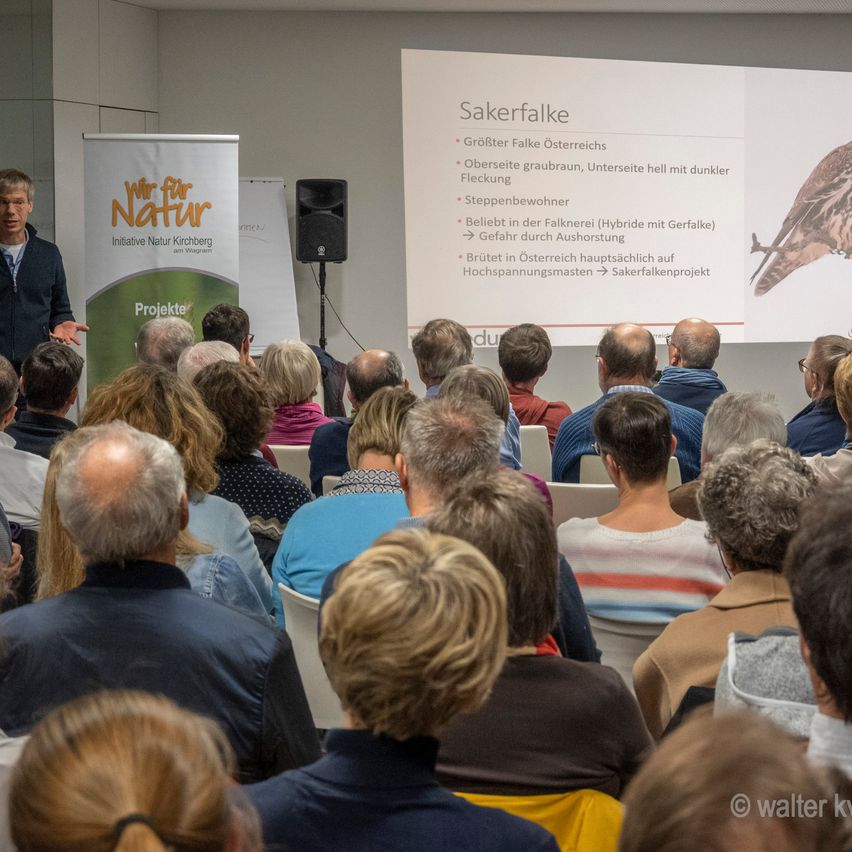 Ein Mann spricht zu einem sitzenden Publikum über Saker Falken. Eine Leinwand zeigt Informationen an.
