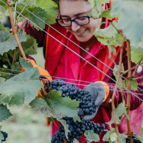 Bild enthält, Nature, Outdoors, Countryside, Vine, Rural, Farm, Garden, Adult, Person, Woman