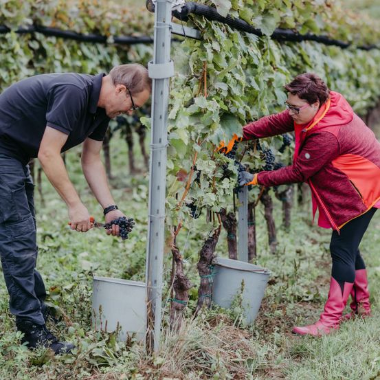 Bild enthält, Nature, Outdoors, Garden, Countryside, Gardening, Rural, Adult, Female, Person, Woman