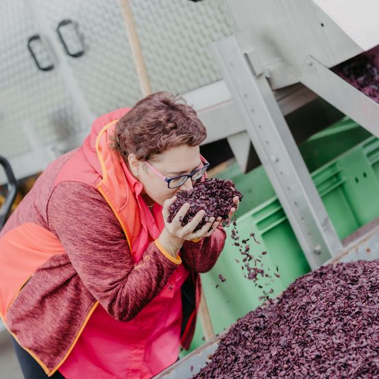 Bild enthält, Person, Face, Head, Accessories, Glasses, Eating, Food, Jewelry, Ring