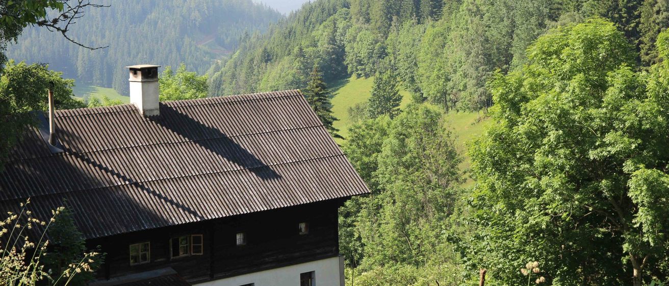 Ein Haus mit Schornstein steht inmitten eines üppigen grünen Tals, umgeben von dichten Bäumen und Bergen im Hintergrund.