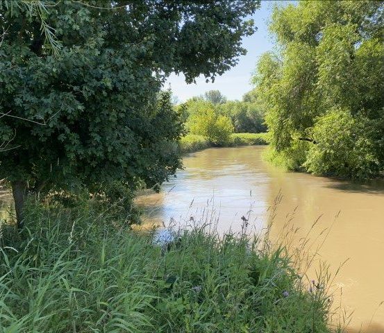 Ein Fluss fließt durch eine üppige grüne Landschaft, umgeben von hohen Bäumen und dichter Vegetation. Das Wasser erscheint trüb und bräunlich.