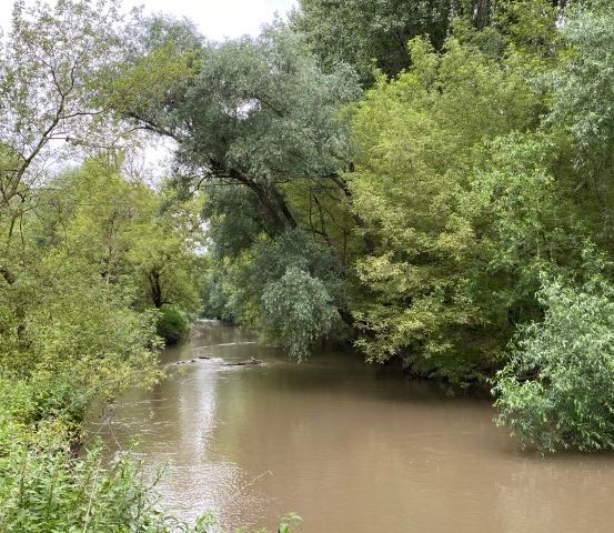 Ein Fluss mit braunem Wasser fließt durch einen üppigen, grünen Wald mit dichter Vegetation und Bäumen. Das Wasser ist ruhig und friedlich.