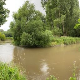 Ein Fluss mit braunem Wasser, umgeben von üppigem Grün. Bäume und Büsche säumen die Ufer, und das Wasser spiegelt das Grün wider.
