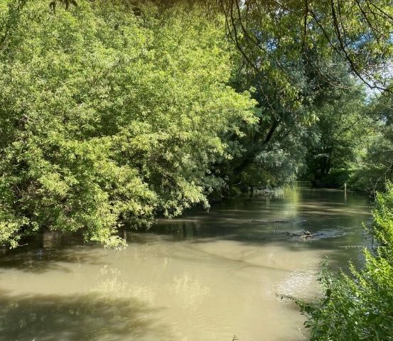Ein Fluss umgeben von üppigem Grün und dichten Bäumen unter einem klaren blauen Himmel.