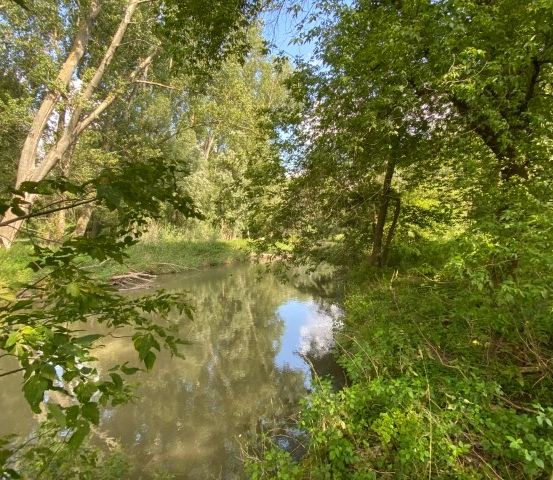 Ein ruhiger Fluss mit üppigem Grün an beiden Ufern, Bäume, die sich im Wasser spiegeln, und eine friedliche Atmosphäre.