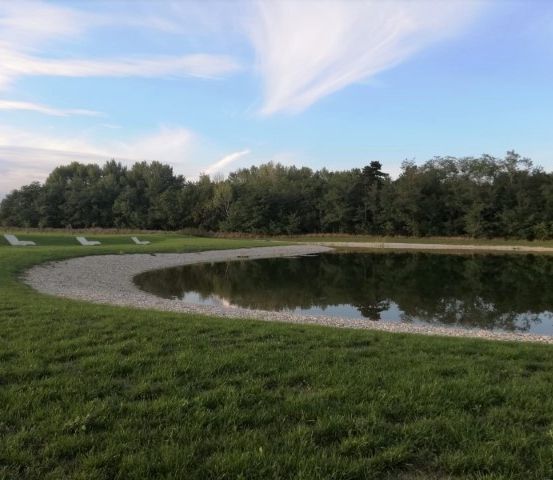 Ein ruhiger Teich in einem grünen Feld, umgeben von Bäumen und einem klaren blauen Himmel mit wolkenartigen Streifen. Drei Liegestühle sind ordentlich in einer Reihe in der Nähe des Wasserrandes aufgestellt.