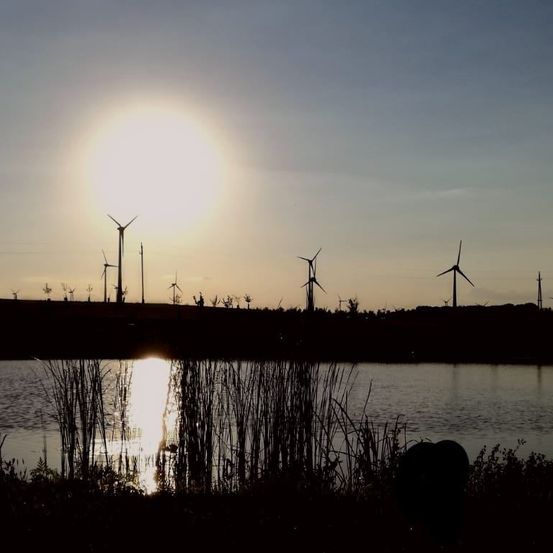 Die Sonne geht hinter einem Feld von Windturbinen unter und wirft lange Schatten auf einen ruhigen See.