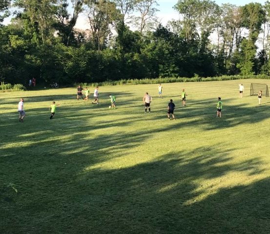 Eine Gruppe von Menschen spielt Fußball auf einem Grasfeld. Einige tragen grüne Trikots, andere weiße. Ein Tor steht rechts. Bäume säumen den Rand des Feldes.
