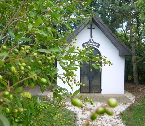 Eine kleine weiße Kapelle mit einem Kreuz an der Vorderseite und einer schwarzen Tür, umgeben von grünem Laub in einem bewaldeten Gebiet.