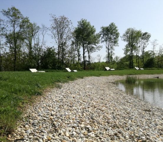 Eine friedliche Landschaft mit einem Kiesweg, der zu einem ruhigen Teich führt, umgeben von saftigem grünem Gras und mehreren weißen Liegestühlen, die in einer Reihe angeordnet sind. Bäume säumen den Rand und schaffen eine friedliche Umgebung.